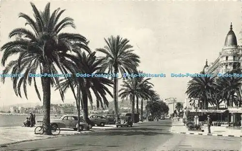 R609393 Cannes La Croisette L Giletta