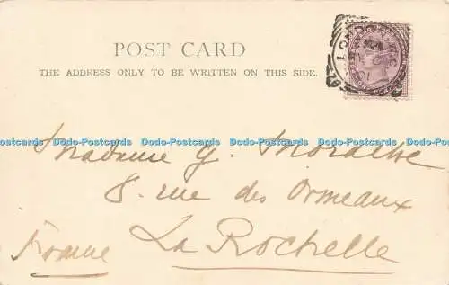 R611565 London St Thomas Hospital Stengel 1901