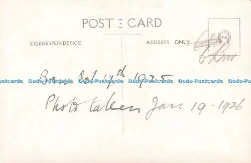 R611633 Zwei Kätzchen sitzen in einem Korb T I C 1925