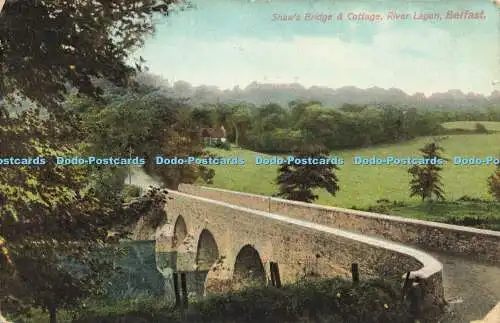 R606968 Shaws Bridge and Cottage River Lagan Belfast N P O 1910