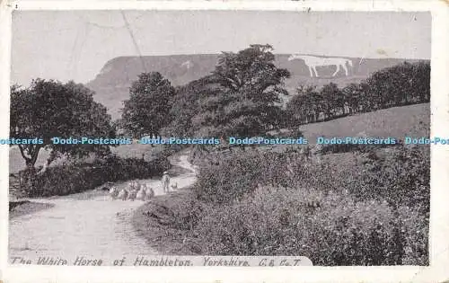 R611783 Yorkshire Das weiße Pferd von Hambleton C und Co T 1908