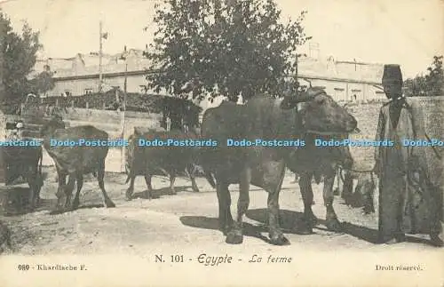 R611789 Egypte La Ferme Khardiache F N 101