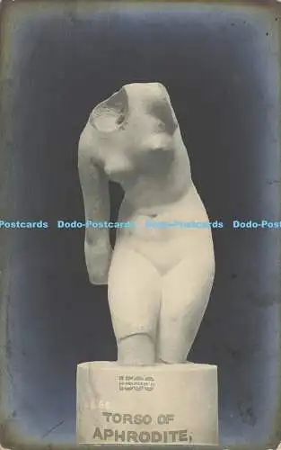 R607403 Torso der Aphrodite