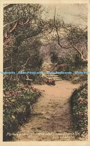 R607617 Isle of Wight Pathway durch den Erdrutsch bei Shanklin W J Nigh