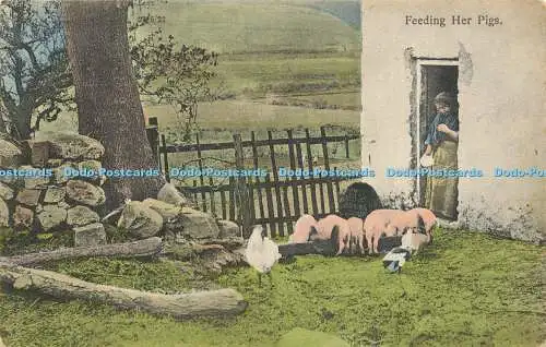 R612255 Postkarte Fütterung ihrer Schweine