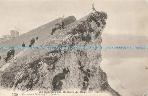 R612277 Au Sommet des Rochers de Naye Charnaux Freres 1908