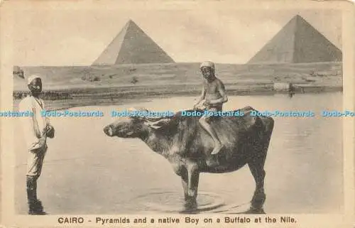 R612302 Kairoer Pyramiden und ein indianischer Junge auf einem Büffel am Nil Kairo Postkarte