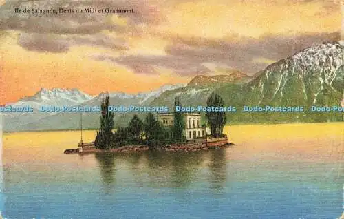 R612384 Lausanne Ile de Salagnon Dents du Midi et Grammont Art S A Schnegg