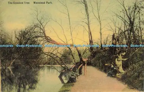 R612453 Wanstead Park The Crooked Tree C und M 1909