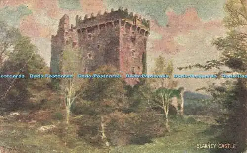 R612460 Blarney Castle Emerald Serie 1905