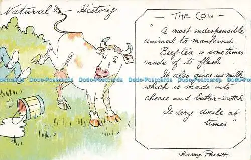 R612525 Natural History Cow Harry Parlott Star Serie G D und D