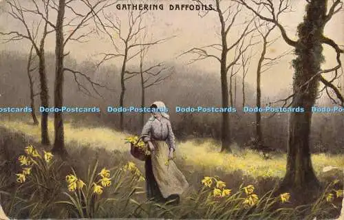 R612556 Gathering Daffodils Philco Publishing Series 2362B 1910