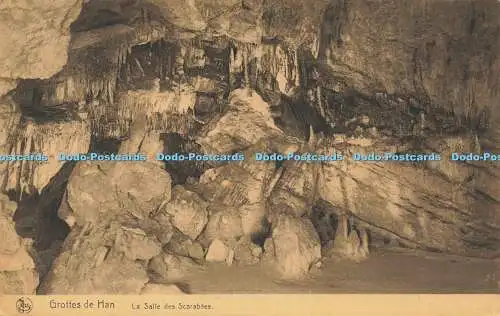 R612686 Nels Grottes de Han La Salle des Scarabees S A des Grottes de Han sur Le