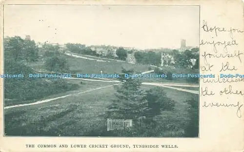 R612980 Common and Lower Cricket Ground Tunbridge Wells 1903