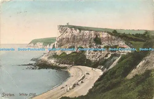 R613259 Seaton White Cliff Friths Serie 1905