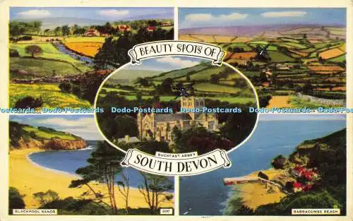 R613289 Beauty Spots of South Devon 300 1957 Multi View