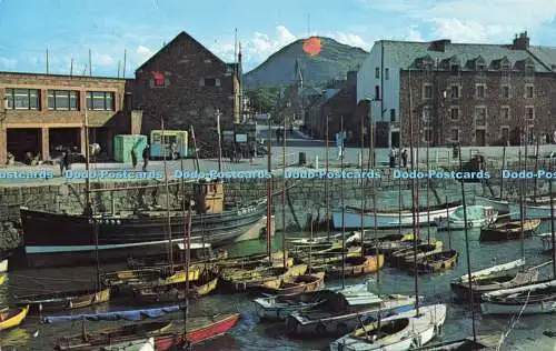 R621420 SDS 107 Harbour North Berwick Sanderson and Dixon Plastichrome Colourpic