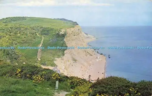 R621444 Ecclesbourne Cliffs Hastings PT3313