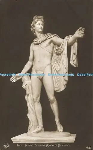 R619078 N P G Rom Museo Vaticano Apollo di Belvedere 5239 Skulpturen Klassische