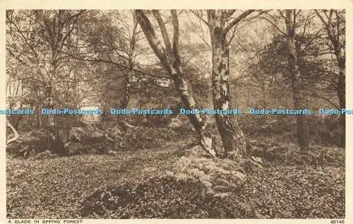 R613721 A Glade in Epping Forest 45146 Photochrom