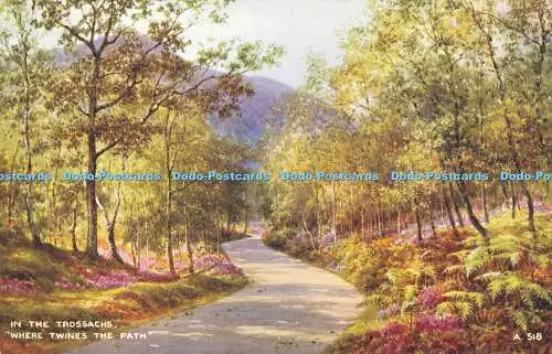 R614619 In Trossachs Where Twines the Path A 518 Valentines Art Colour