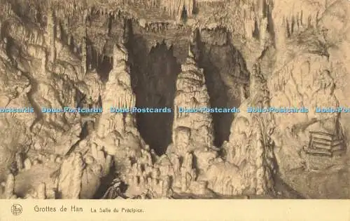 R617164 Nels Grottes de Han La Salle du Precipice No 16 S A des Grottes de Gan s