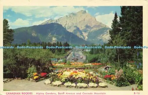 R613843 Canadian Rockies Alpine Gardens Banff Avenue and Cascade Mountain R 16 C