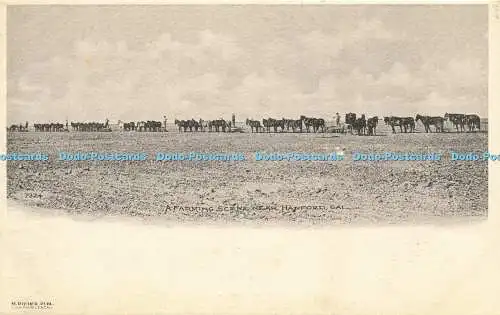 R613886 2324 A Farming Scene near Hanford Cal M Rieder