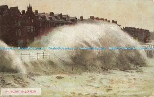 R614770 Dog Wave Blackpool H O Hill 1906