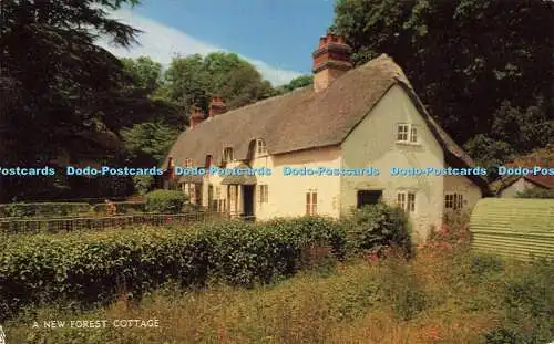 R613989 A New Forest Cottage Salmon 1965