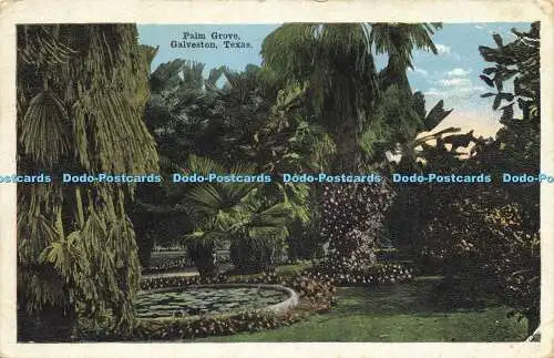 R615078 Palm Grove Galveston Texas E C Kropp 1917