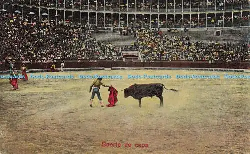 R622035 Suerte de capa Bull Ring 4508 6