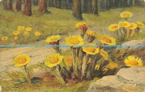 R622064 Blumen A Haller C und V Nr 235 1922