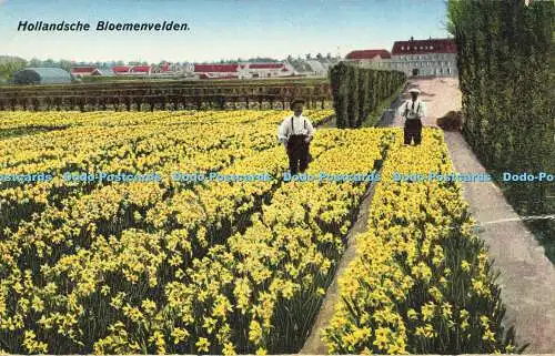 R622163 Hollandsche Bloemenvelden J Schlitten Amsterdam