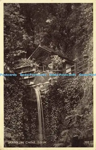R619778 Schaft China I O W 2022 1948