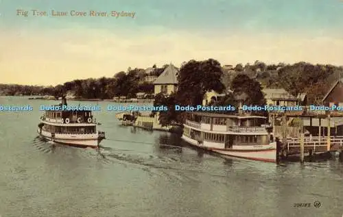R617794 Fig Tree Lane Cove River Sydney 300183 Valentine