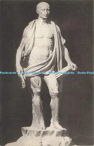 R615315 Milano Cattedrale S Bartolomeo Statua in marmo di Marco d Agrate 5234 Auto