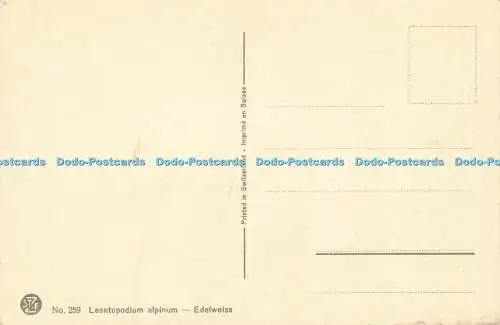 R615355 Nr 259 Leontopodium alpinum Edelweiß St Z F