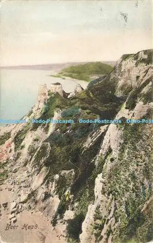 R615379 Bierkopf Friths Serie Nr 42433 1905