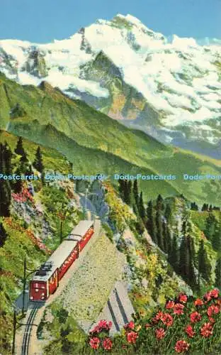 R615532 Schynige Platte Bahn mit Jungfrau No 8007 H Steinhauer 1960