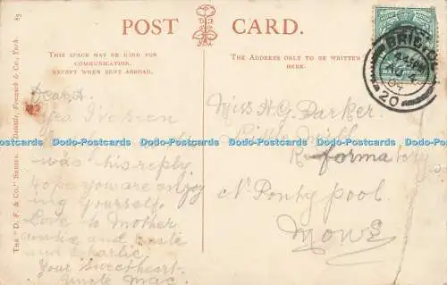 R620122 Papas Reply D F Delittle and Fenwick 1904