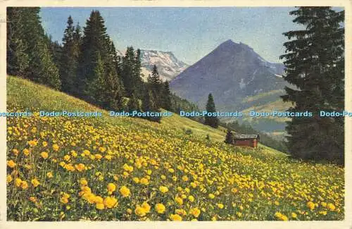 R618103 Nr A 1721 Fruhlingslandschaft bei Adelboden E Gyger und Klopfenstein