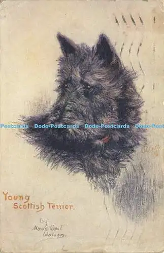 R620271 Young Scottish Terrier Maud West Watson Sketches of Doggies Tuck Oilette