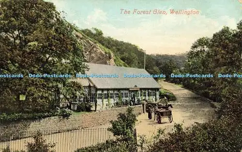 R615838 Forest Glen Wellington Valentines Serie 1908