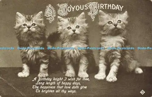 R616072 A Joyous Birthday A Birthday bright I wish for you Kittens Cats Valenti