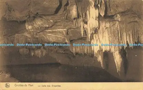 R618558 Nels Grottes de Han La Salle des Draperies S A des Grottes de Han sur Le