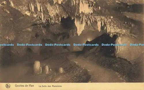 R618560 Nels Grottes de Han La Salle des Mamelons S A des Grottes de Han sur Les