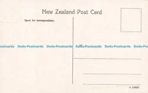 R616127 Bath House Sanatorium Grounds Neuseeland Postkarte
