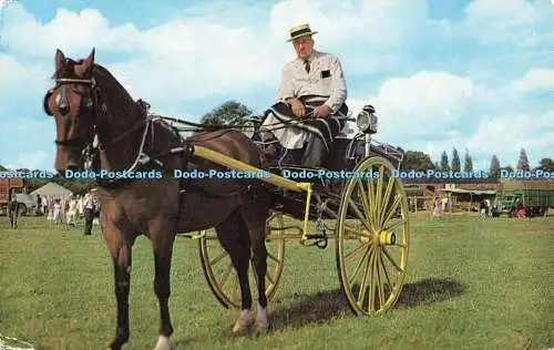 R618642 Ready for the Show Ring Horse Salmon 1970