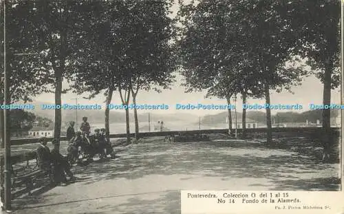 R618675 Pontevedra Coleccion G del 1 al 15 No 14 Fondo de la Alameda Fa J Pintos